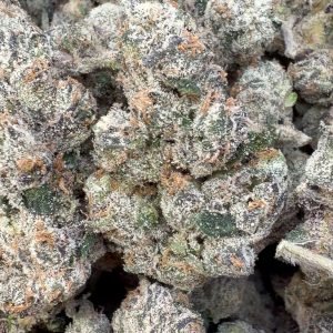 Elite Boutique Exotics White Cherry Gushers - Bulk - Hybrid