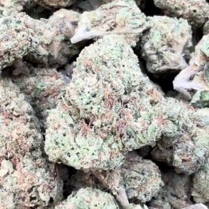 Gelato Kush Mediums - Bulk Mediums - Indica