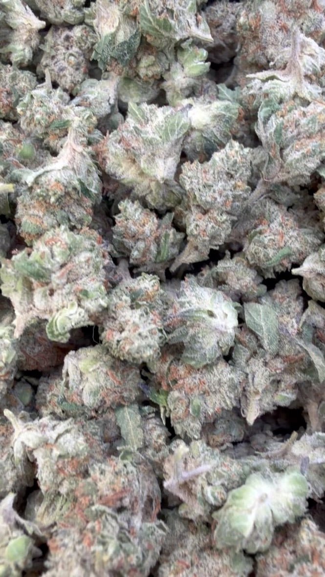 Chocolate Diesel Minis - Bulk Minis - Sativa - Image 2