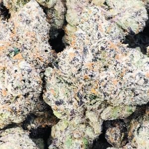 Boutique Exotics Lemon Dior - Bulk - Hybrid