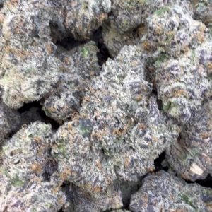 Pink Runtz Indoor - Bulk - Hybrid