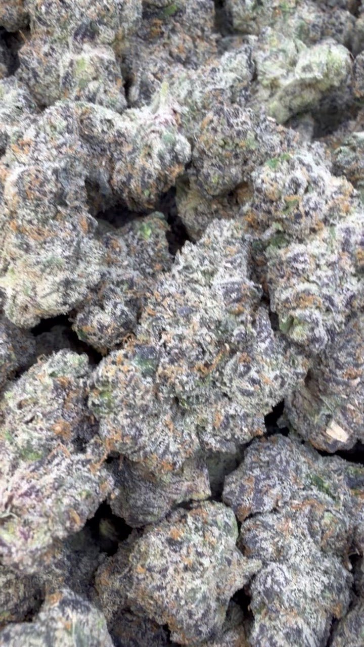 Pink Runtz Indoor - Bulk - Hybrid