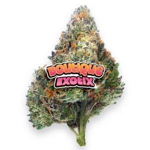 Boutique Exotics - Coffin Candy - 4 Grams - Hybrid