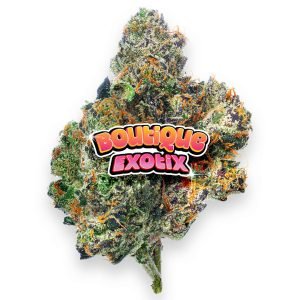 Boutique Exotics - Obama Runtz - 4 Grams - Hybrid