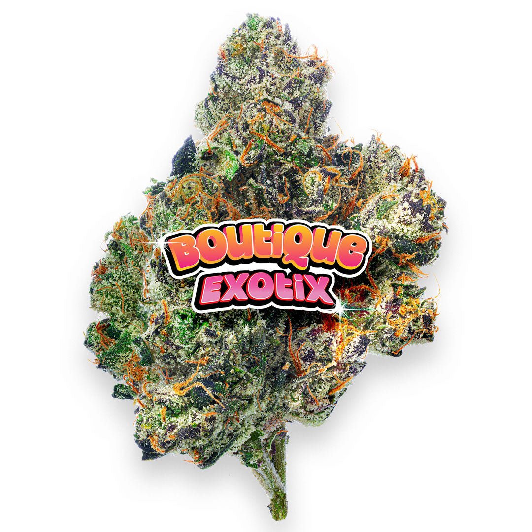 Boutique Exotics - Obama Runtz - 28 Grams - Hybrid - Image 5