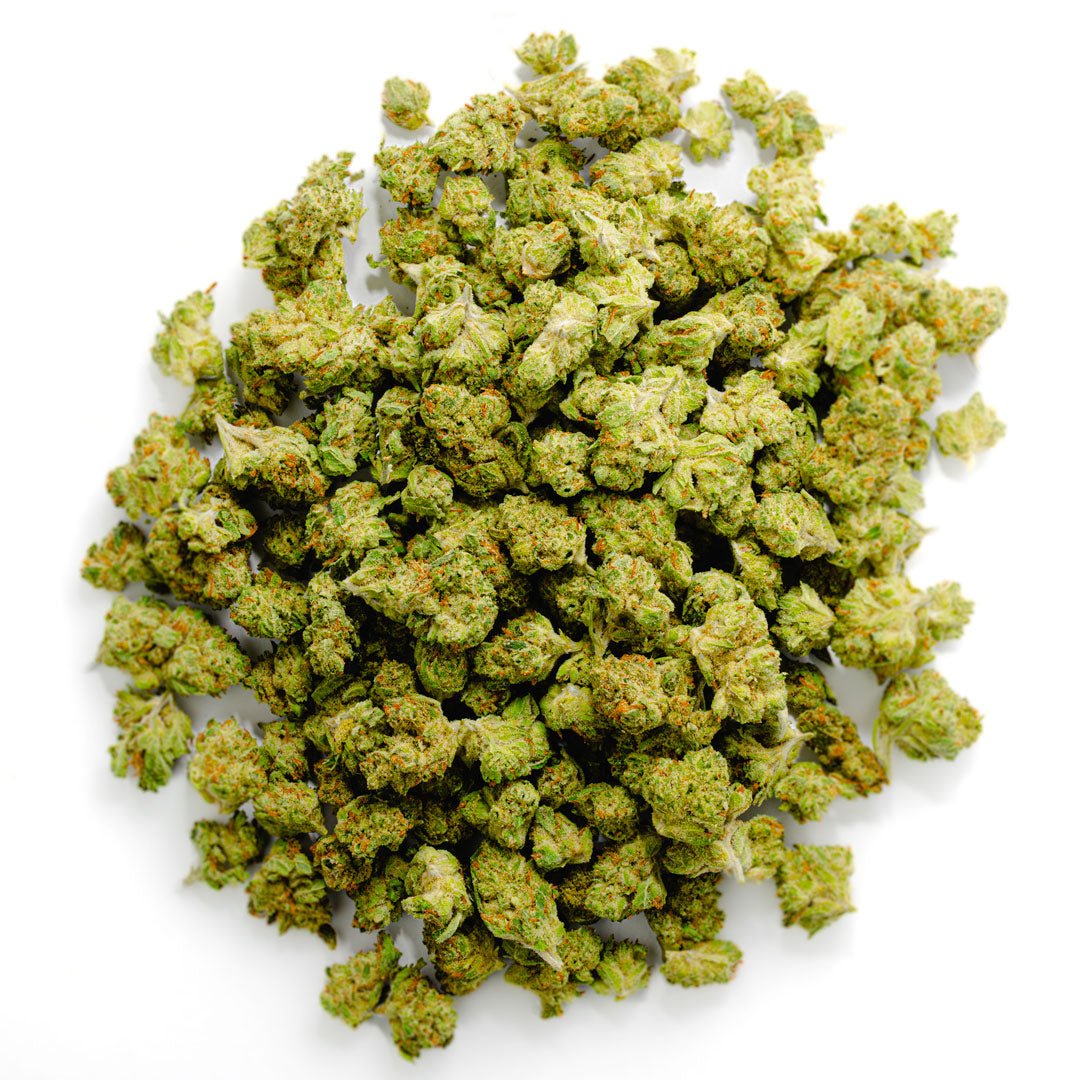 Gary Payton - Minis - 14 Grams - Hybrid