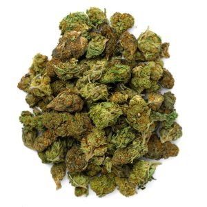 Gelato Cake - 28 Grams - Hybrid