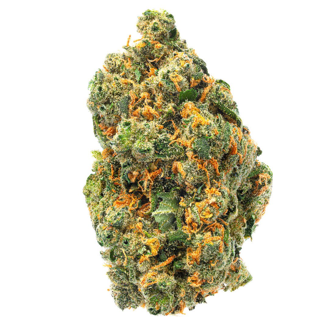 Jack Herer - Indoor - 14 Grams - Sativa - Image 2