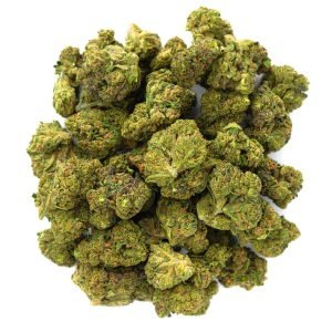Jealousy - 28 Grams - Hybrid