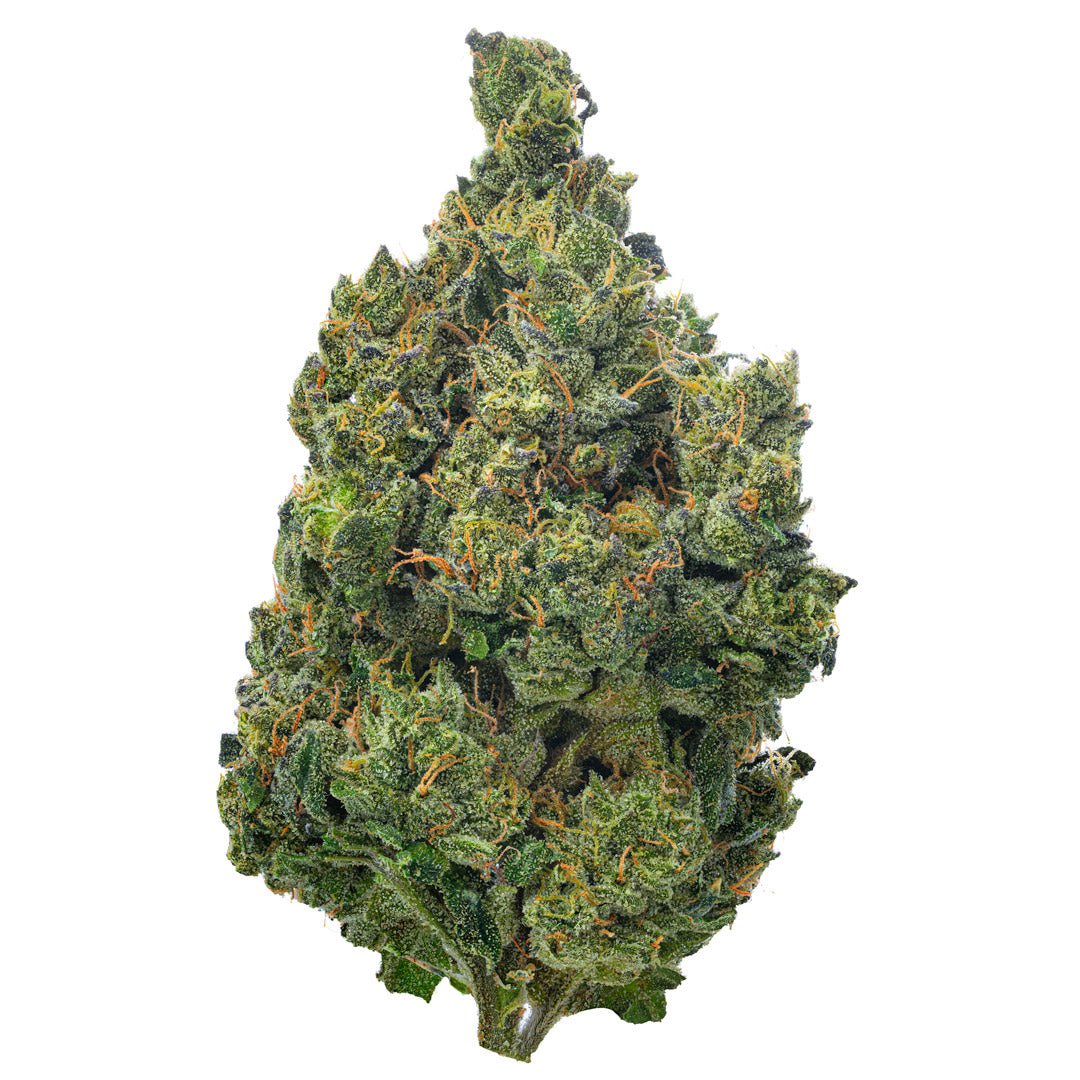 Super Jack Indoor - 14 Grams - Sativa - Image 2