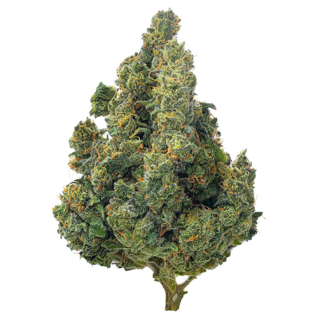 Super Jack Indoor - 14 Grams - Sativa - Image 3