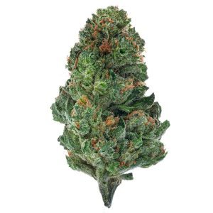 Master Kush - 28 Grams - Indica
