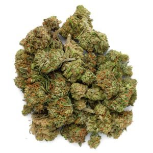 GMO - 14 Grams - Indica
