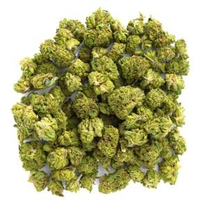 Oreoz - Minis - 14 Grams - Hybrid